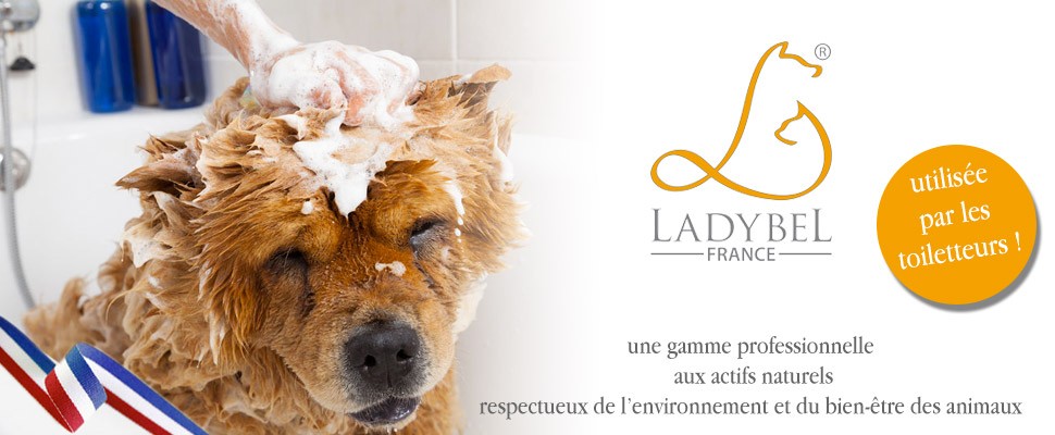 Ladybel Toilettage Chien Chat Et Nac Marque Française