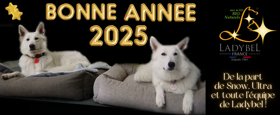 Bonne Année 2025